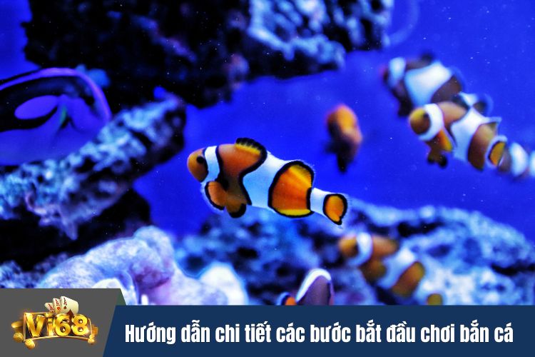 Hướng dẫn chi tiết các bước bắt đầu chơi bắn cá